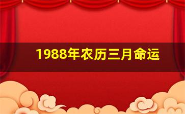 1988年农历三月命运