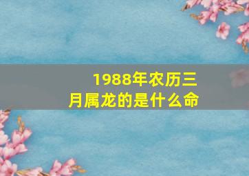 1988年农历三月属龙的是什么命