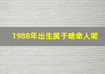 1988年出生属于啥命人呢