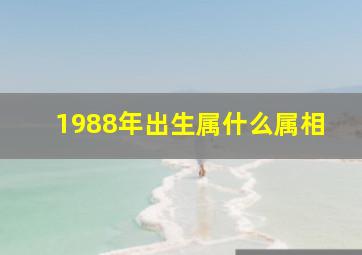 1988年出生属什么属相