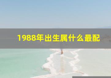 1988年出生属什么最配