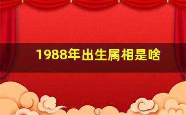 1988年出生属相是啥