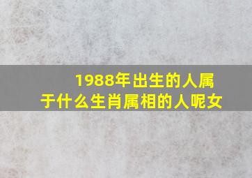 1988年出生的人属于什么生肖属相的人呢女