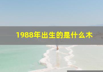 1988年出生的是什么木