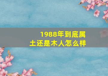 1988年到底属土还是木人怎么样