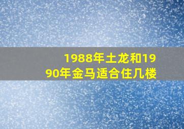 1988年土龙和1990年金马适合住几楼