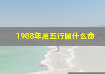 1988年属五行属什么命