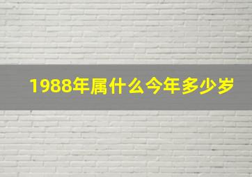 1988年属什么今年多少岁