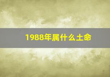 1988年属什么土命