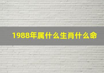 1988年属什么生肖什么命