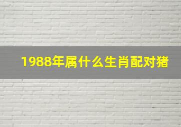 1988年属什么生肖配对猪