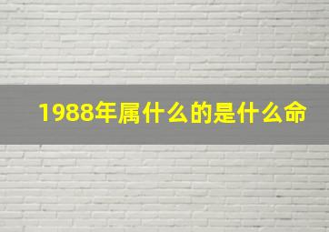 1988年属什么的是什么命