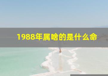 1988年属啥的是什么命