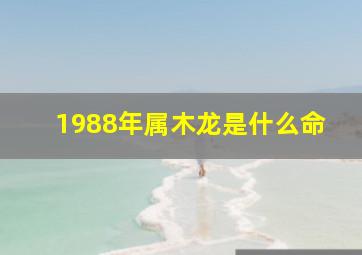 1988年属木龙是什么命