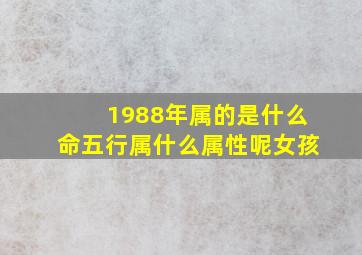 1988年属的是什么命五行属什么属性呢女孩