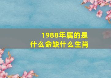 1988年属的是什么命缺什么生肖