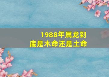 1988年属龙到底是木命还是土命