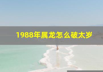 1988年属龙怎么破太岁