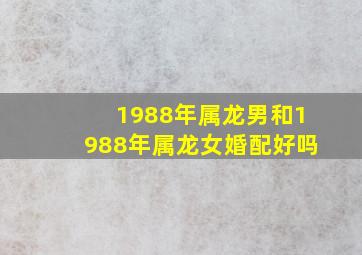 1988年属龙男和1988年属龙女婚配好吗