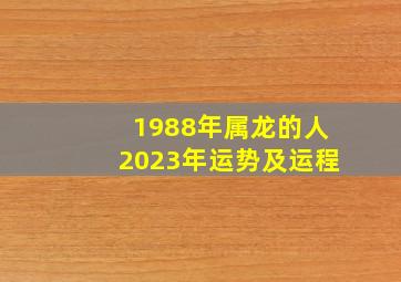 1988年属龙的人2023年运势及运程