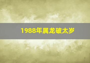 1988年属龙破太岁