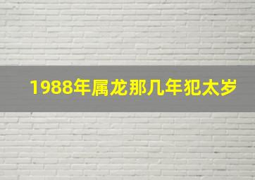 1988年属龙那几年犯太岁