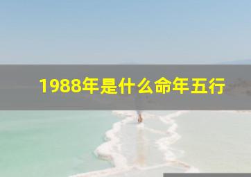 1988年是什么命年五行