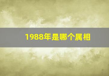 1988年是哪个属相