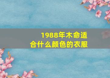 1988年木命适合什么颜色的衣服