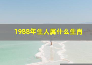 1988年生人属什么生肖