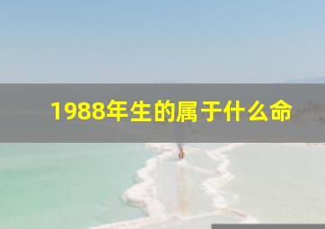 1988年生的属于什么命