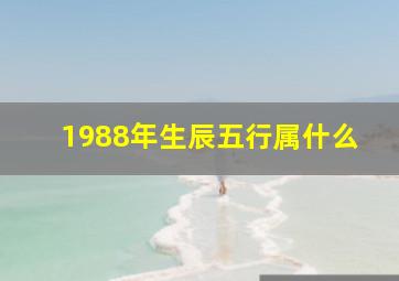 1988年生辰五行属什么