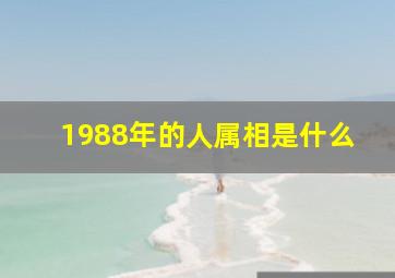 1988年的人属相是什么