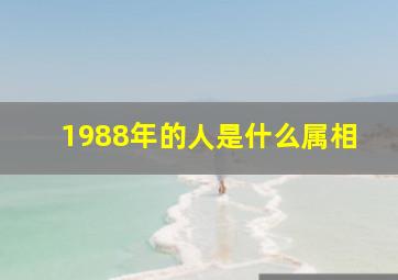 1988年的人是什么属相