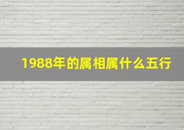 1988年的属相属什么五行