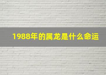 1988年的属龙是什么命运