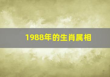 1988年的生肖属相