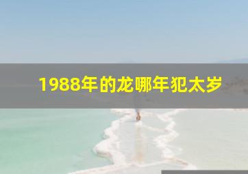 1988年的龙哪年犯太岁