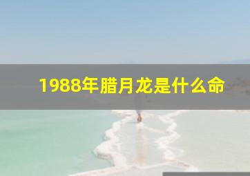 1988年腊月龙是什么命