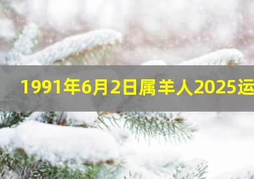 1991年6月2日属羊人2025运势