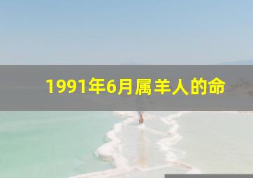 1991年6月属羊人的命