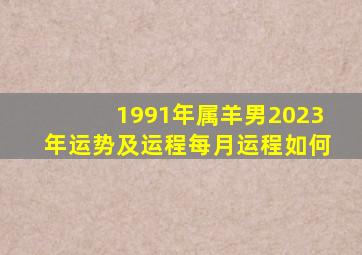 1991年属羊男2023年运势及运程每月运程如何