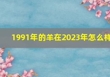 1991年的羊在2023年怎么样