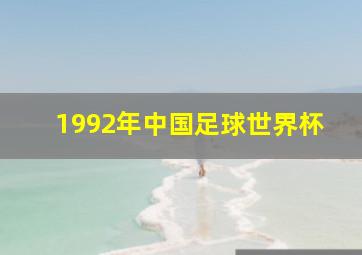 1992年中国足球世界杯