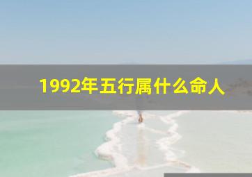 1992年五行属什么命人