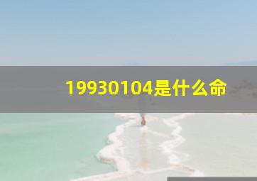 19930104是什么命