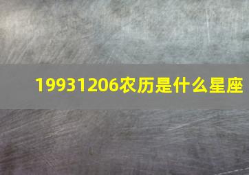 19931206农历是什么星座