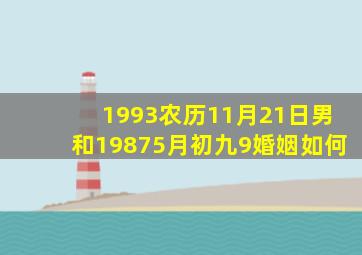 1993农历11月21日男和19875月初九9婚姻如何