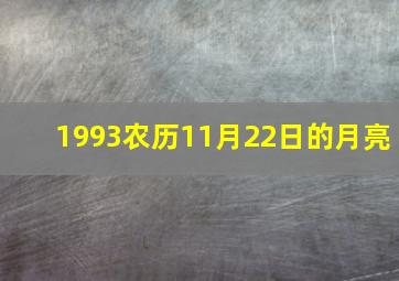 1993农历11月22日的月亮