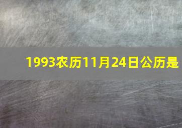 1993农历11月24日公历是